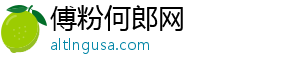 傅粉何郎网
